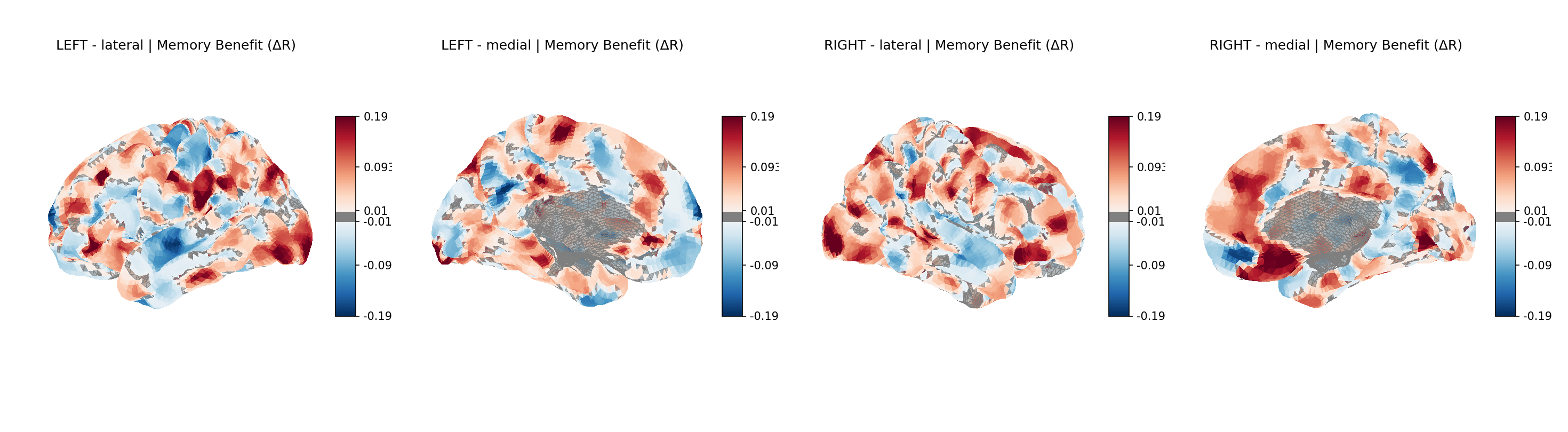 brain-encoding-fig9-cortical-surface.png