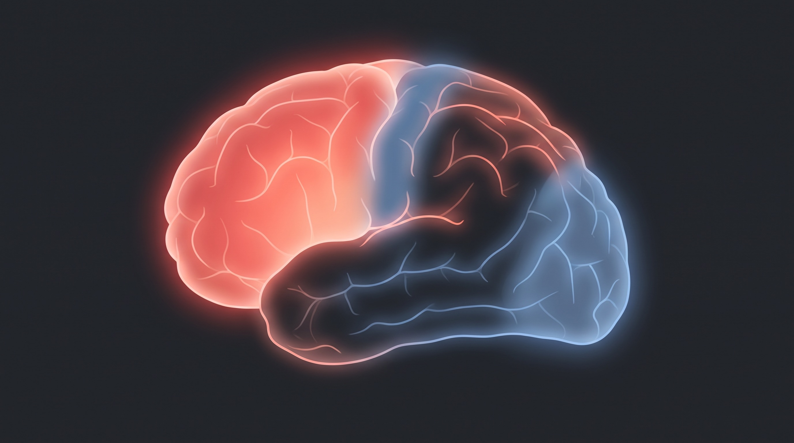 Cortical map of the memory benefit